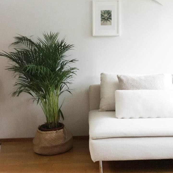 Photo of Livingroom in Punavuori