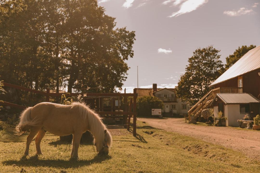 Photo of Others in Brastad