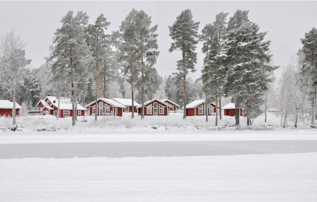 Photo of Others in Falun