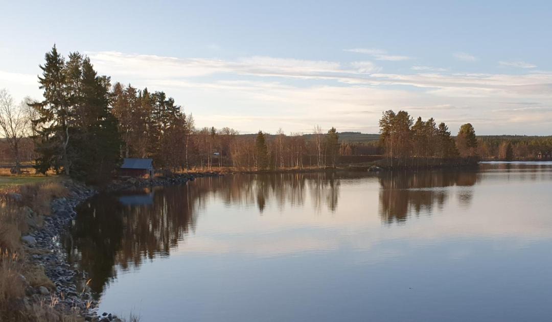 Photo of Others in Hammerdal