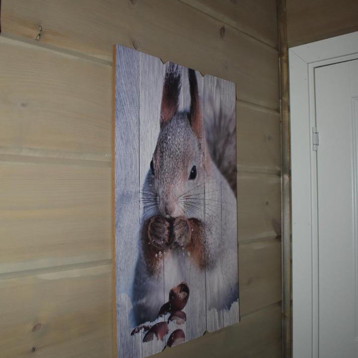 Photo of Others in Kviteseid