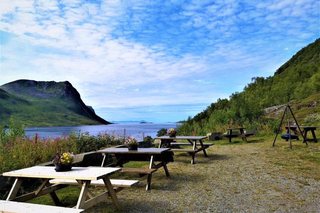 Photo of Others in Torsken