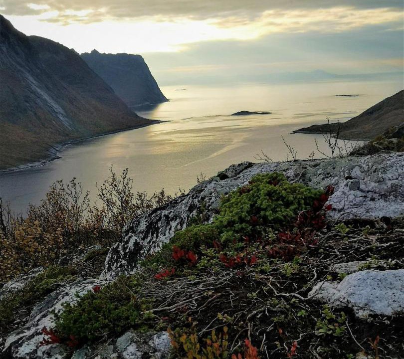 Photo of Others in Torsken