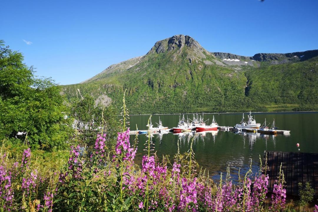 Photo of Others in Torsken