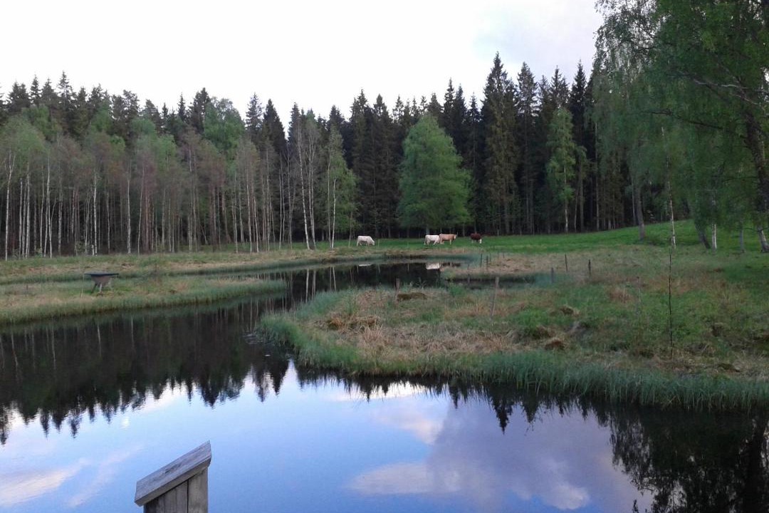 Photo of Others in Simlangsdalen