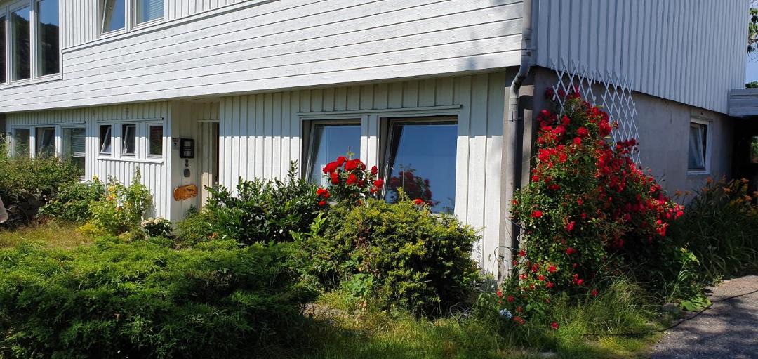 Photo of Buildings in Flekkefjord