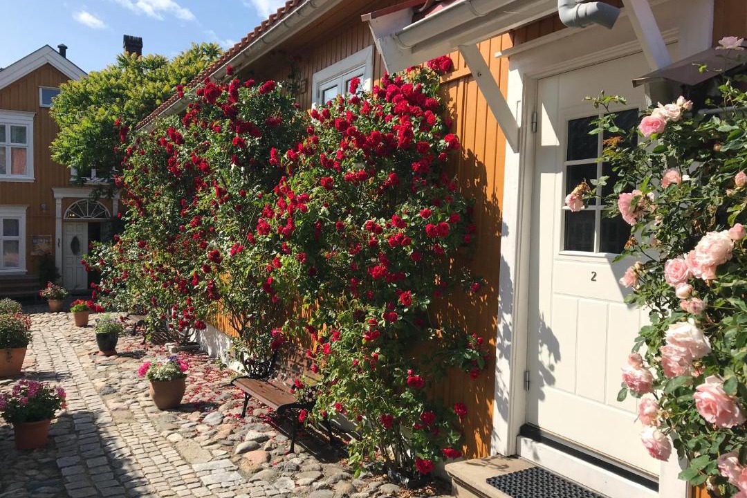 Photo of Others in Larvik