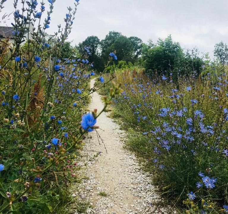Photo of Outdoor in Burgsvik