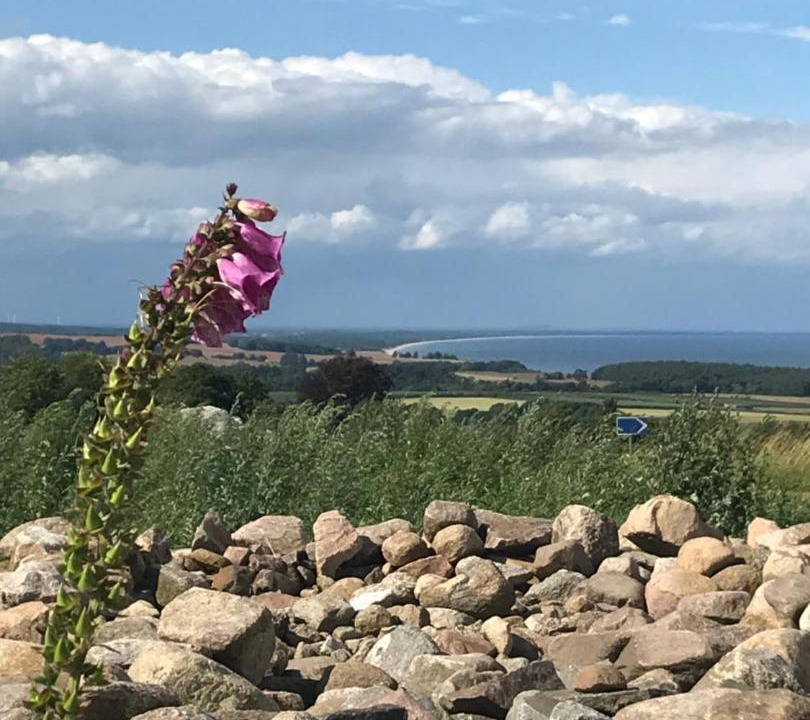 Photo of Others in Kivik