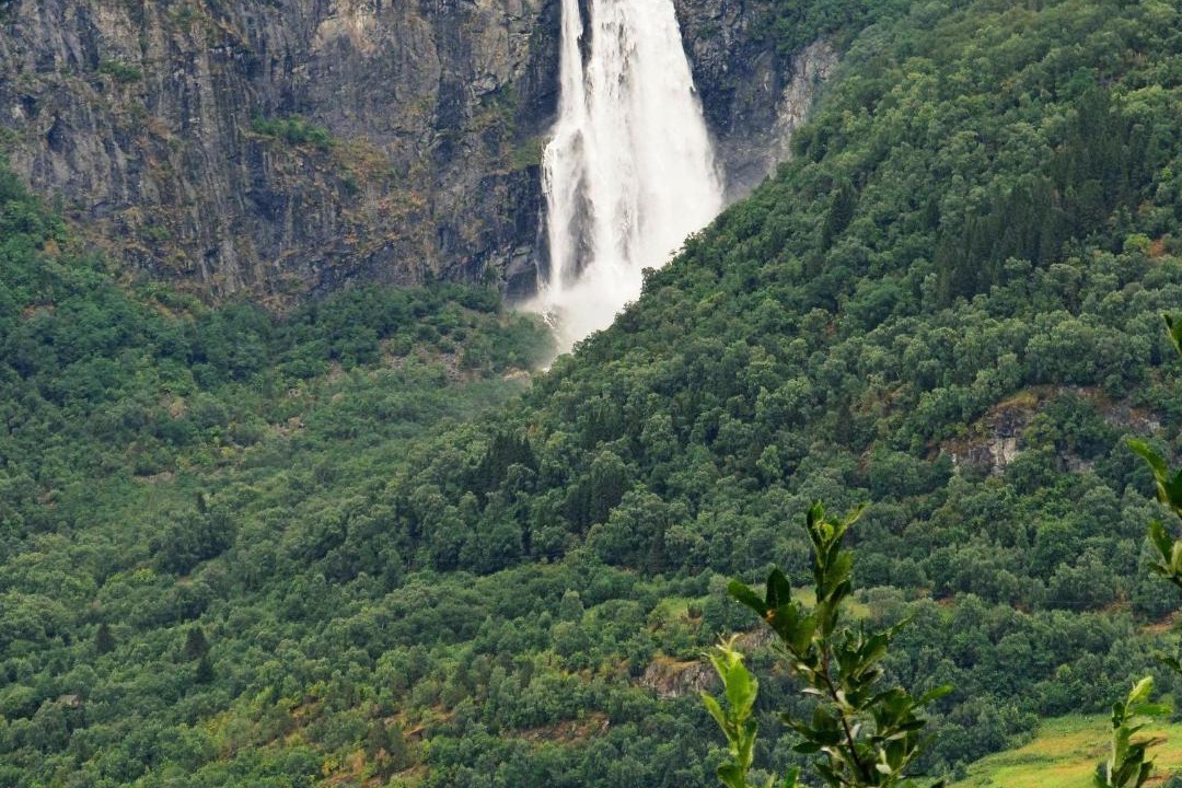 Photo of Outdoor in Luster