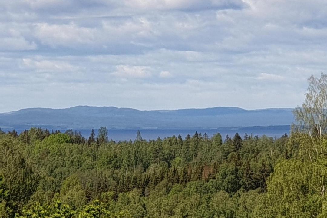 Photo of Others in Tallberg