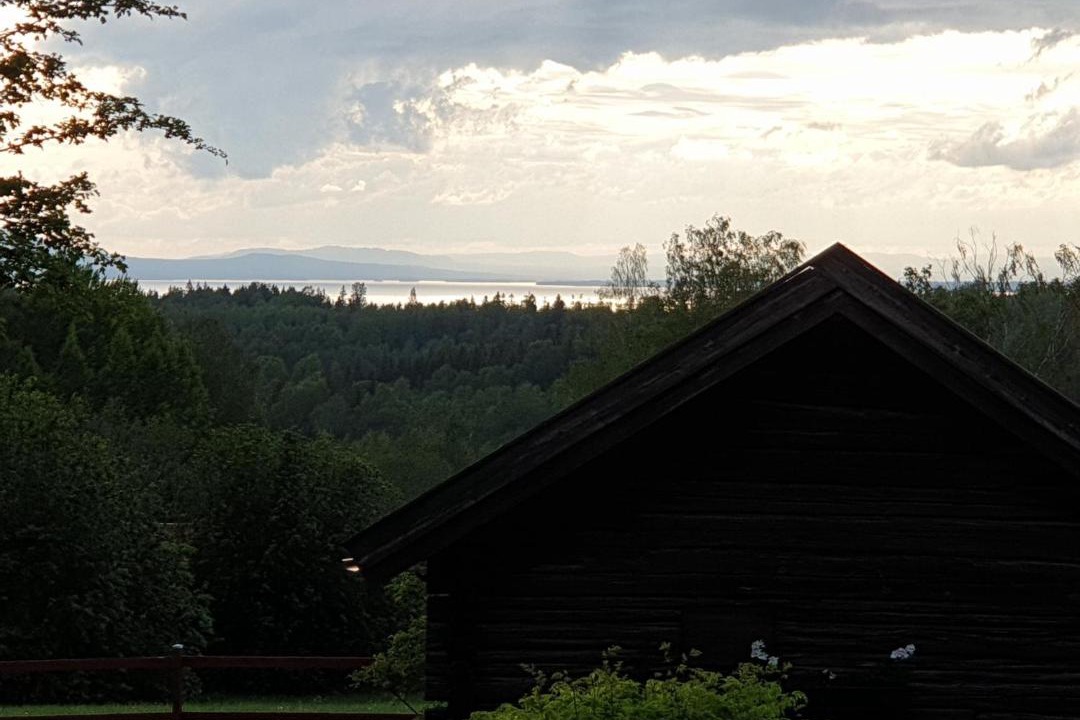 Photo of Others in Tallberg