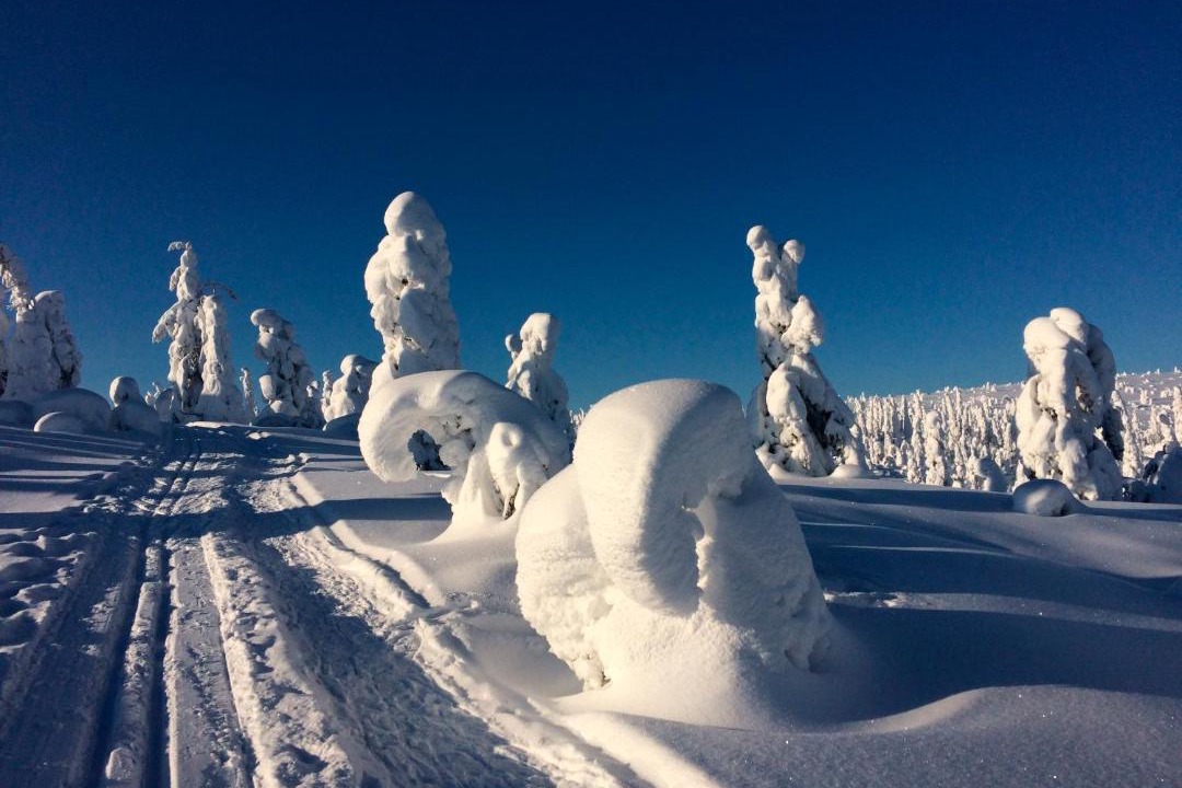 Photo of Others in Kuusamo