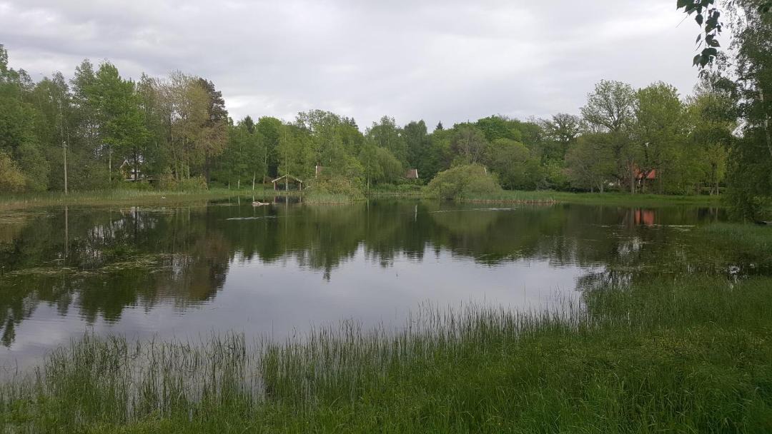 Photo of Others in Knivsta