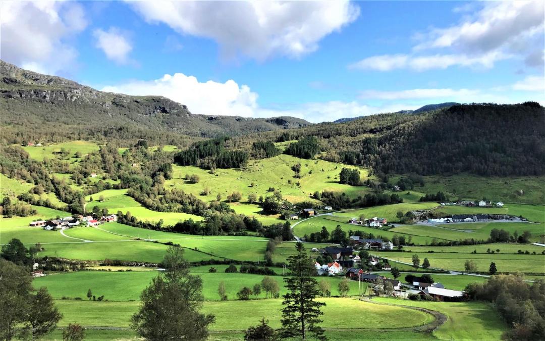 Photo of Others in Haugaland