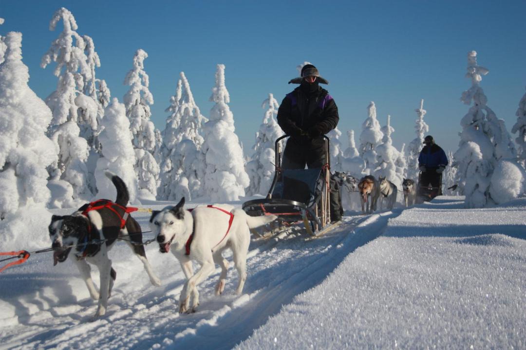 Photo of Others in Syote