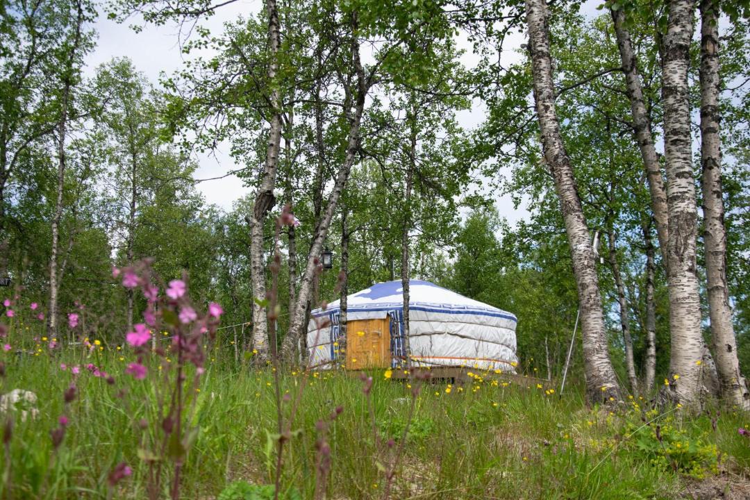 Photo of Others in Kiruna