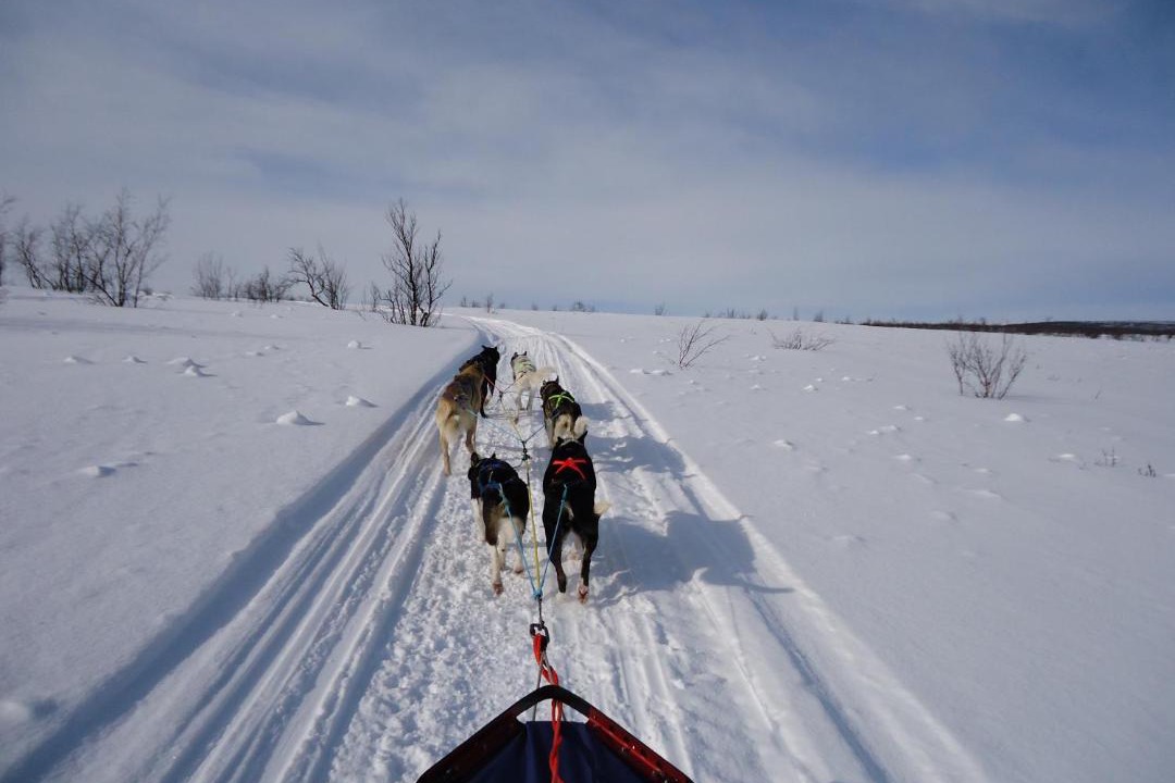 Photo of Others in Alta