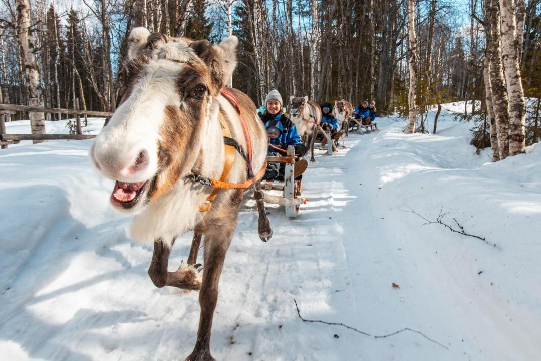 Photo of Others in Rovaniemi