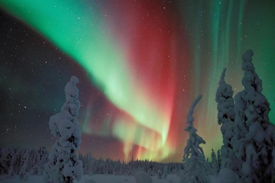 Photo of Others in Rovaniemi