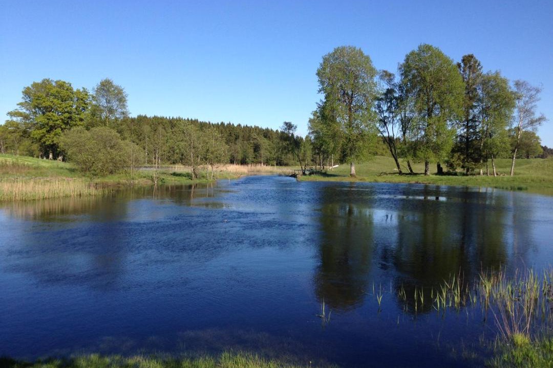 Photo of Others in Ullared
