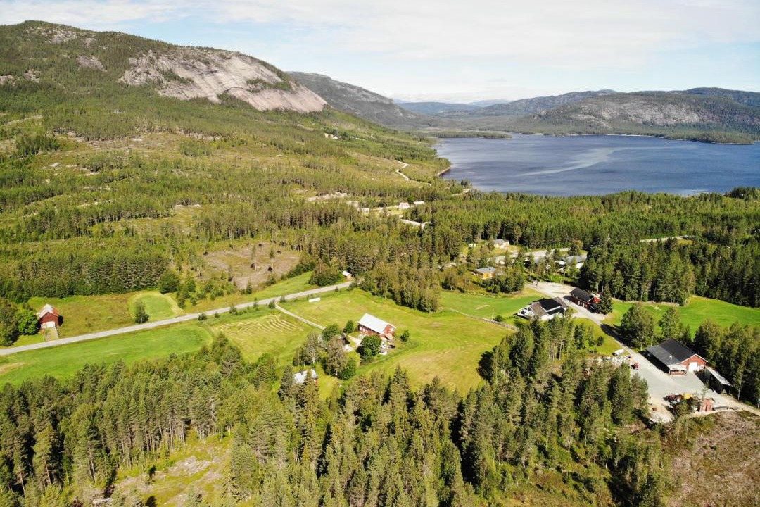 Photo of Outdoor in Hauggrend