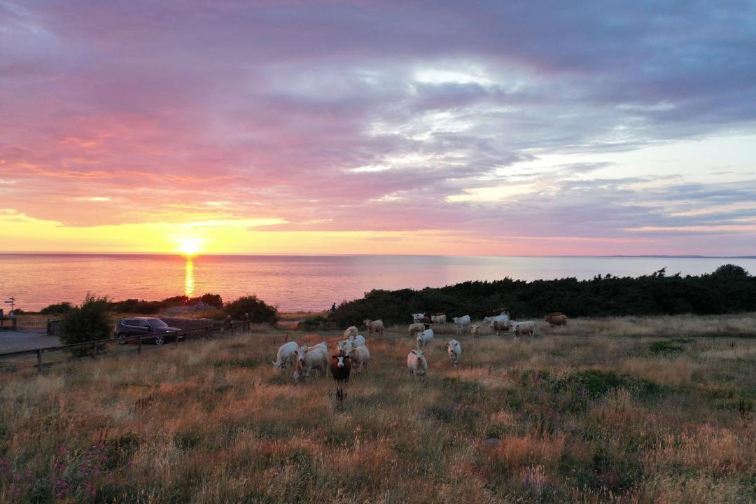 Photo of Others in Bastad Municipality