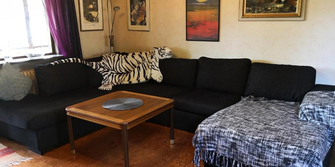 Photo of Livingroom in Vidsel