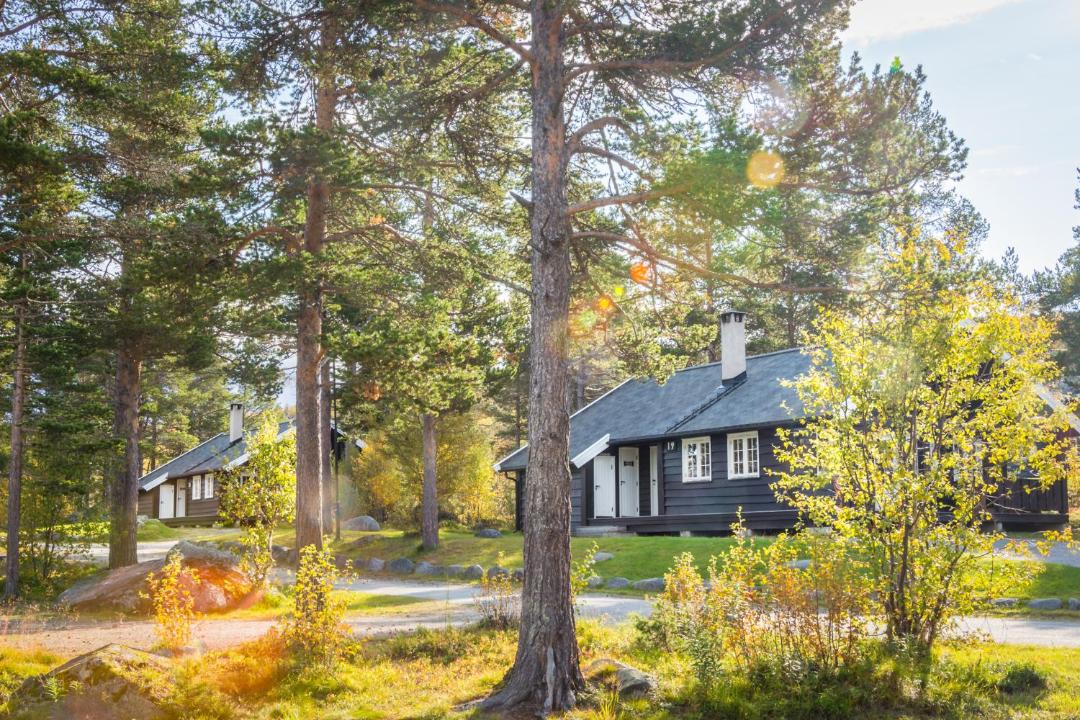 Photo of Others in Geilo