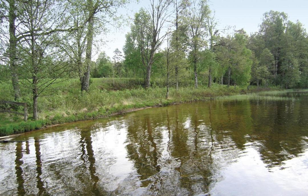 Photo of Others in Ambjornarp