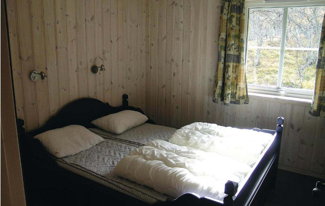 Photo of Others in Hemsedal