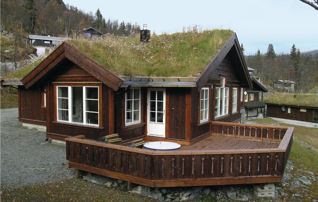 Photo of Others in Hemsedal