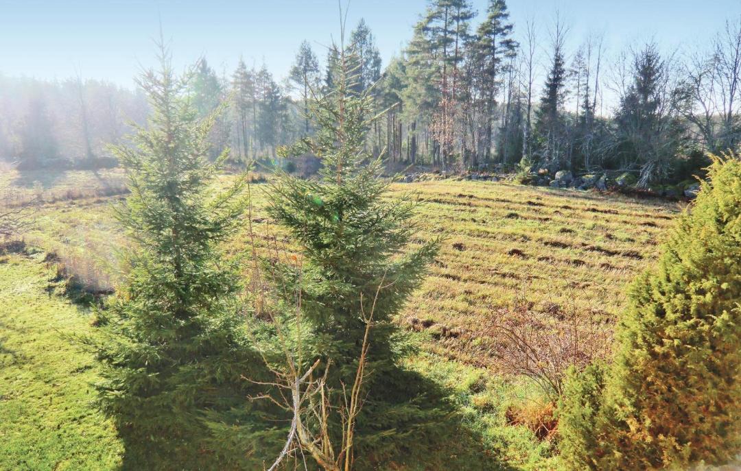 Photo of Outdoor in Solnehult