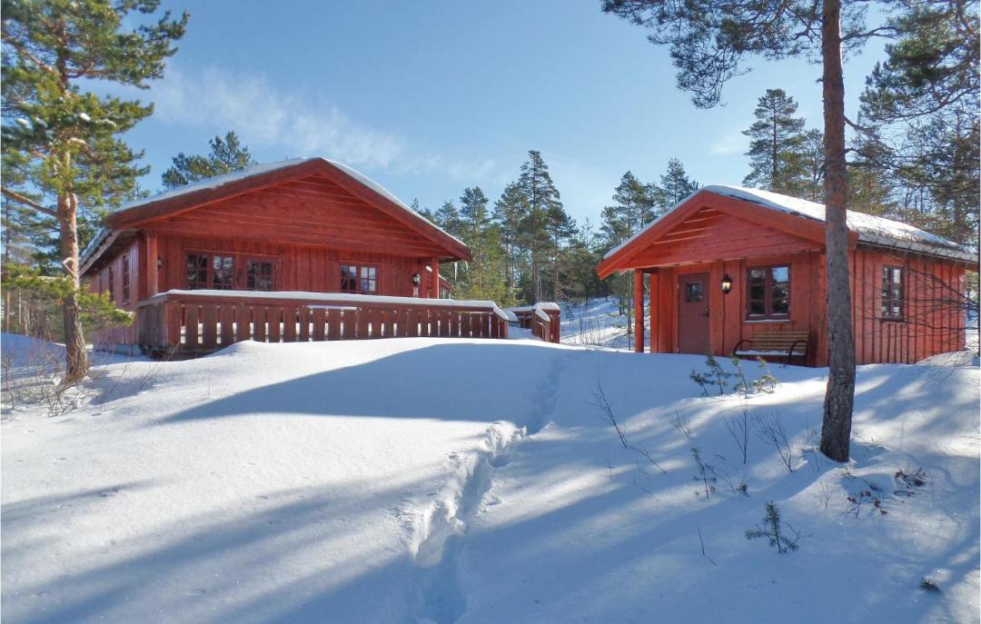 Photo of Others in Nissedal