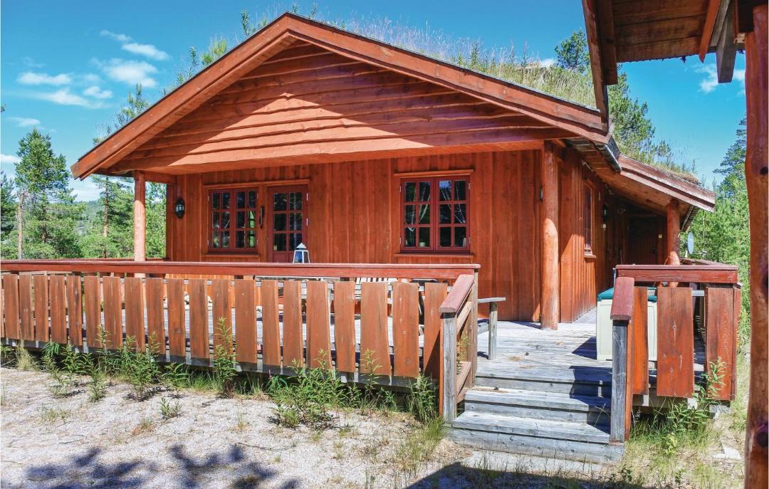 Photo of Others in Nissedal