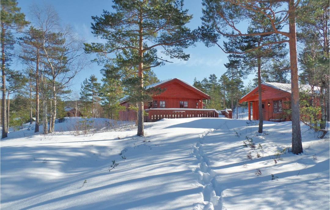 Photo of Others in Nissedal