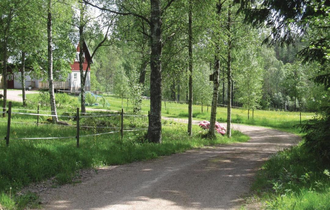 Photo of Others in Hestra