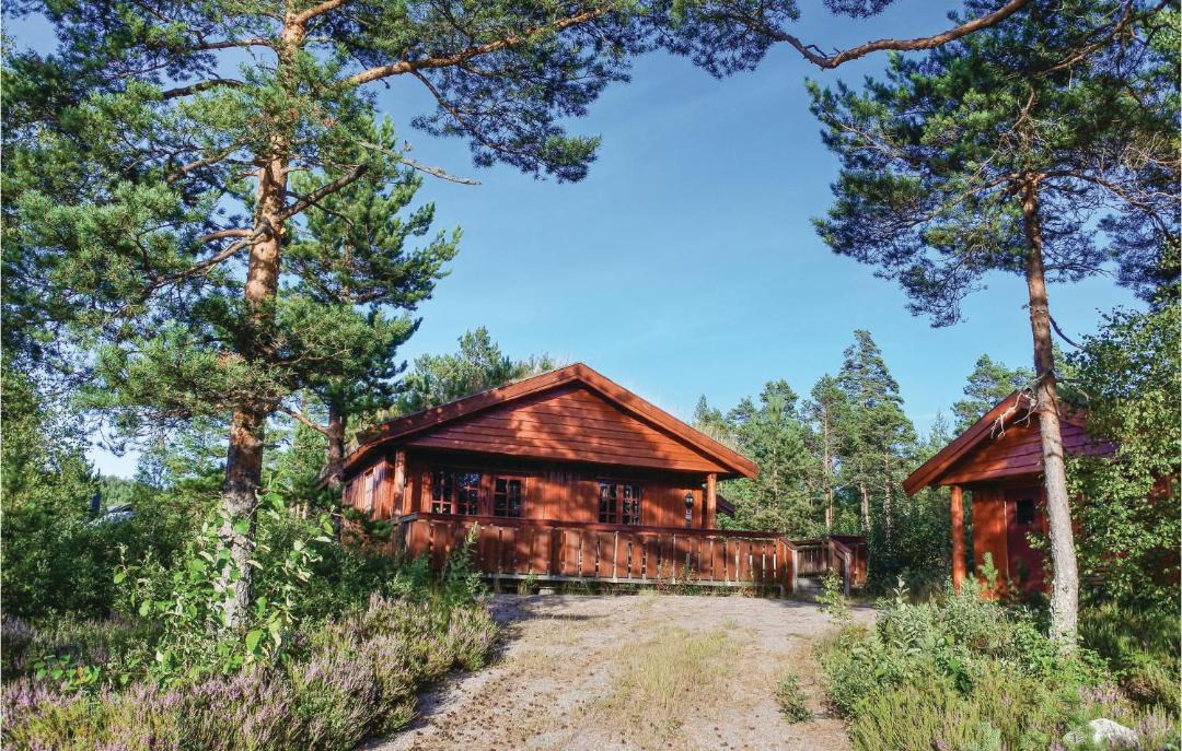 Photo of Others in Nissedal