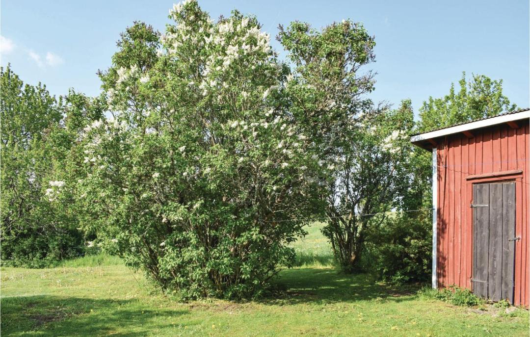 Photo of Others in Virserum