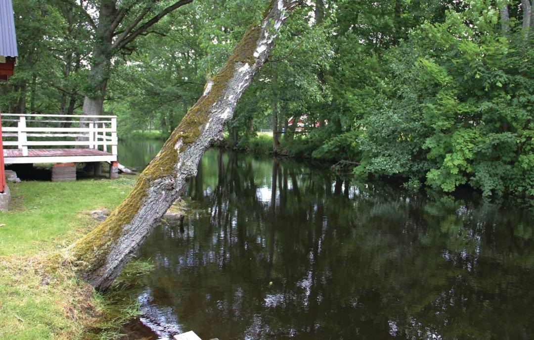 Photo of Others in Morrum