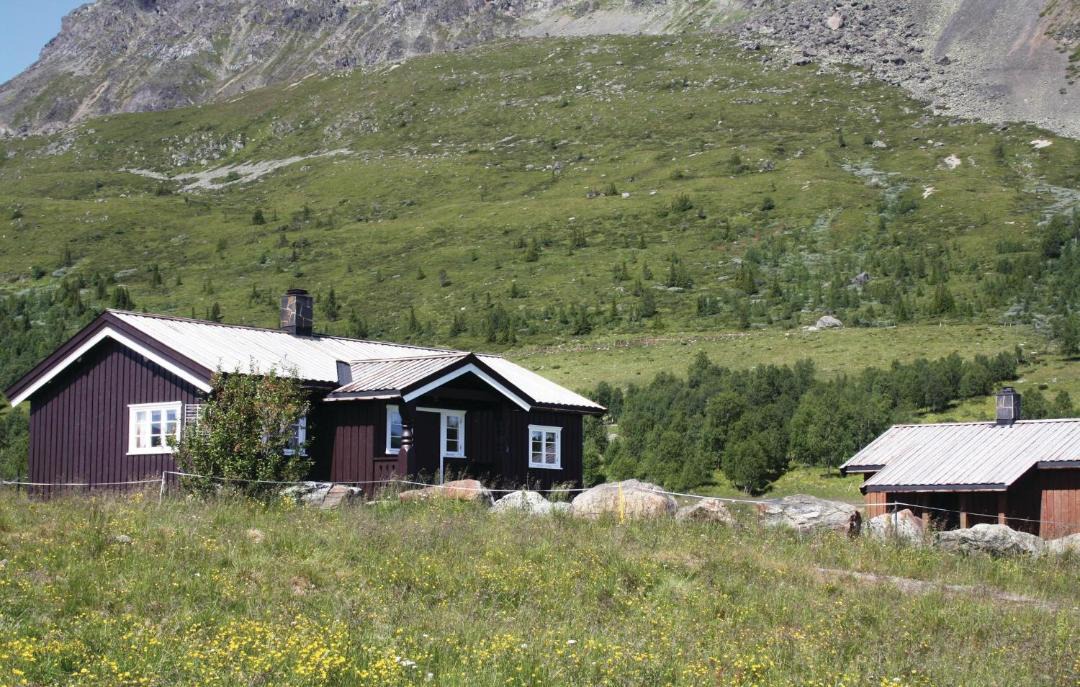 Photo of Others in Hemsedal