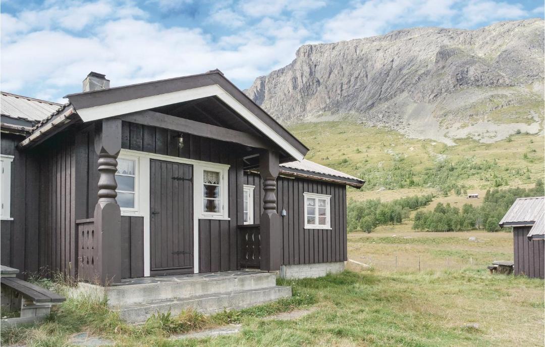 Photo of Others in Hemsedal