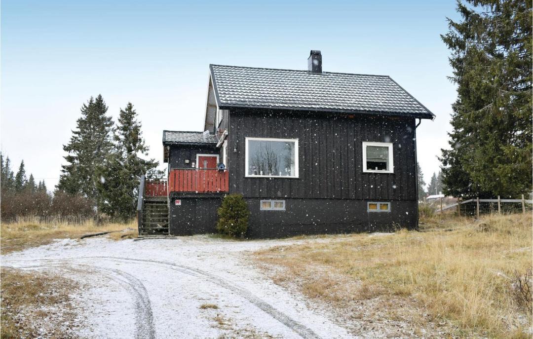 Photo of Others in Sjusjoen
