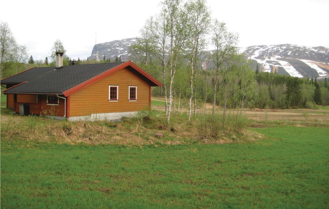 Photo of Others in Hemsedal
