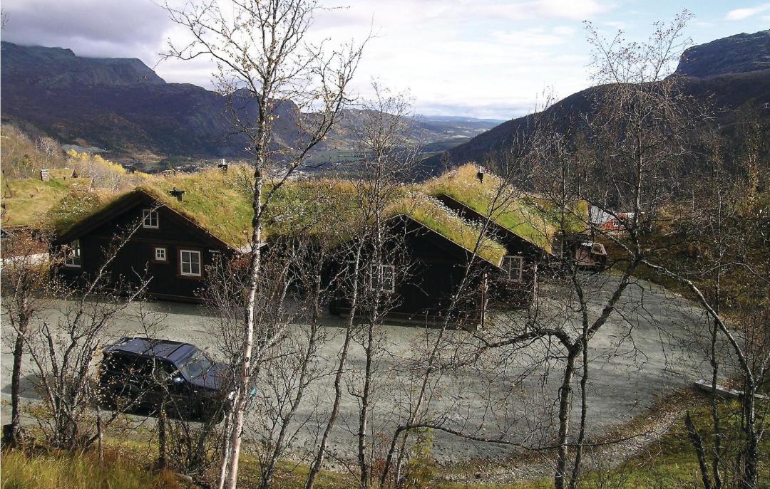 Photo of Others in Hemsedal
