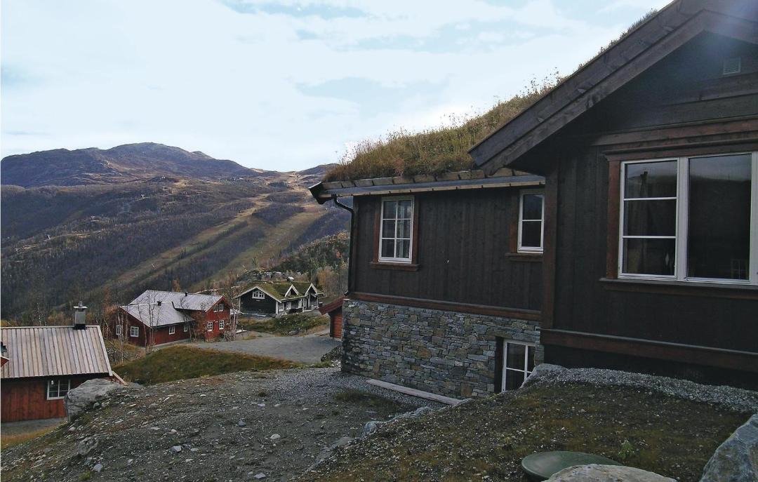 Photo of Others in Hemsedal