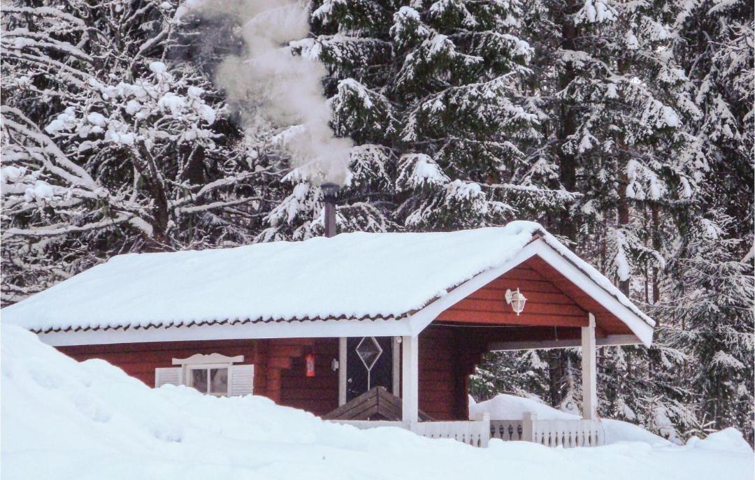 Photo of Buildings in Lesjofors