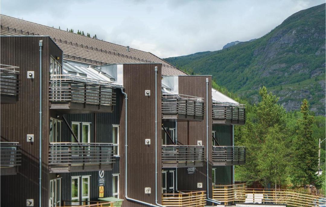 Photo of Others in Hemsedal