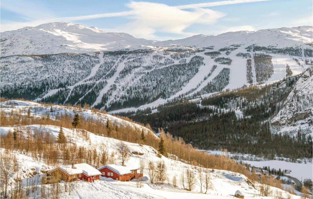 Photo of Others in Hemsedal