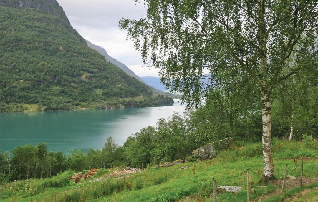 Photo of Others in Jostedal